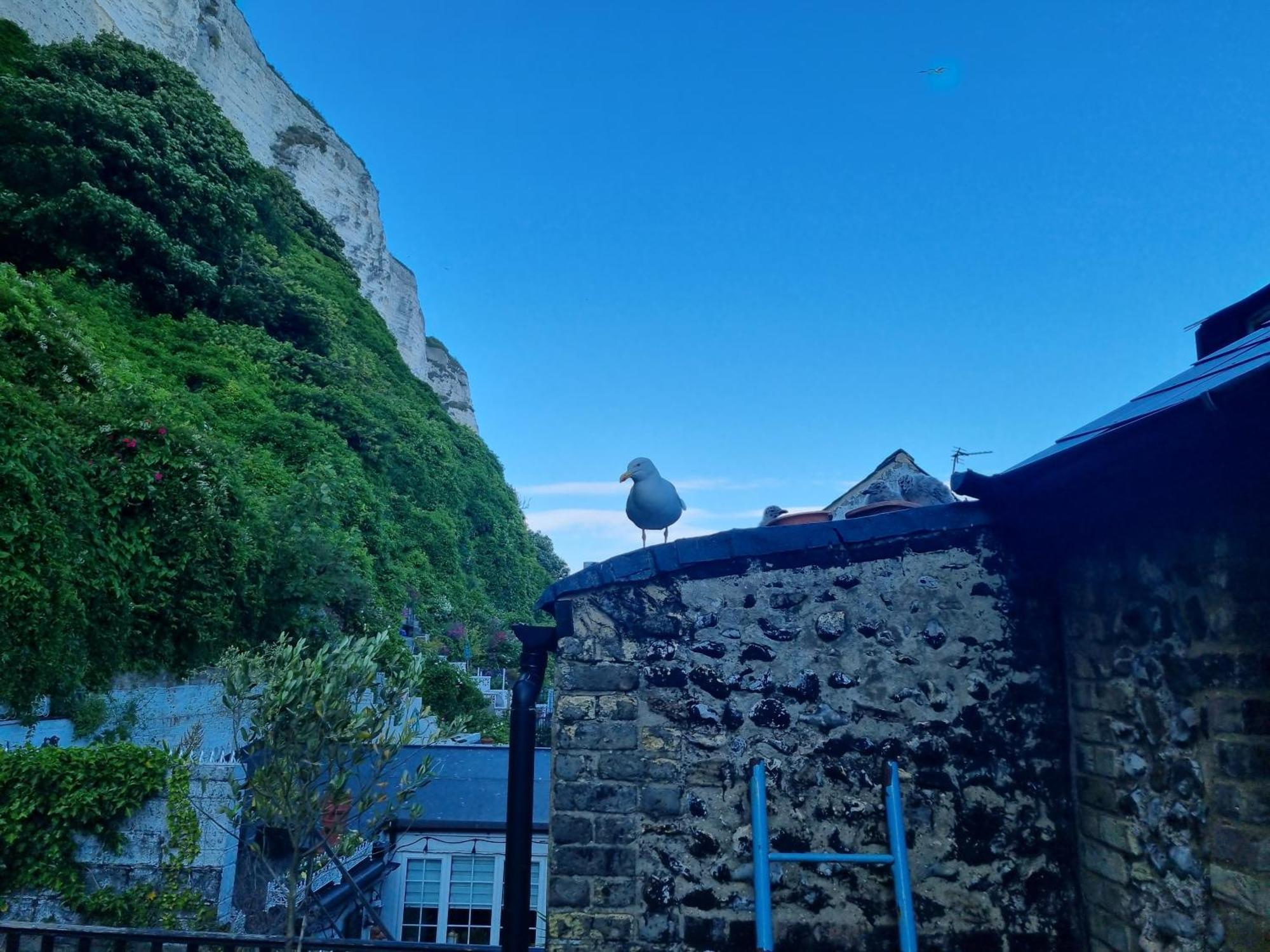First And Last Youth Hostel Dover Exteriör bild
